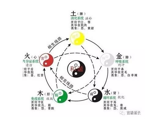 名字五行缺什麼|【怎麼樣判斷五行缺什麼意思】怎麼判斷自己五行缺什麼的最佳方。